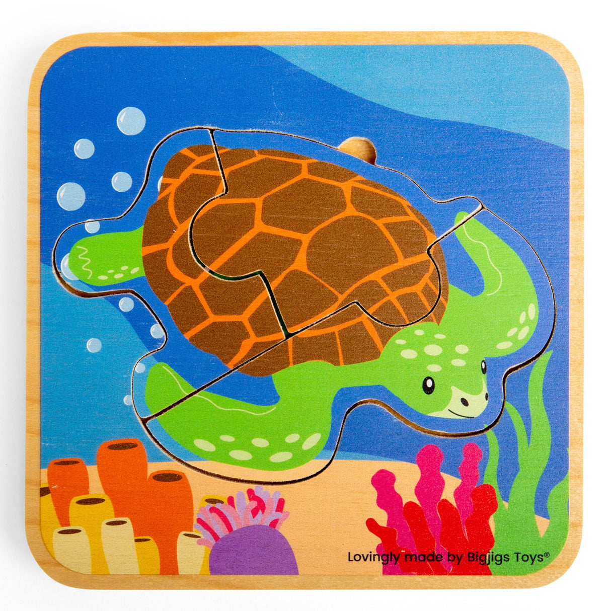 Lifecycle Layer Puzzle - Sea Turtle