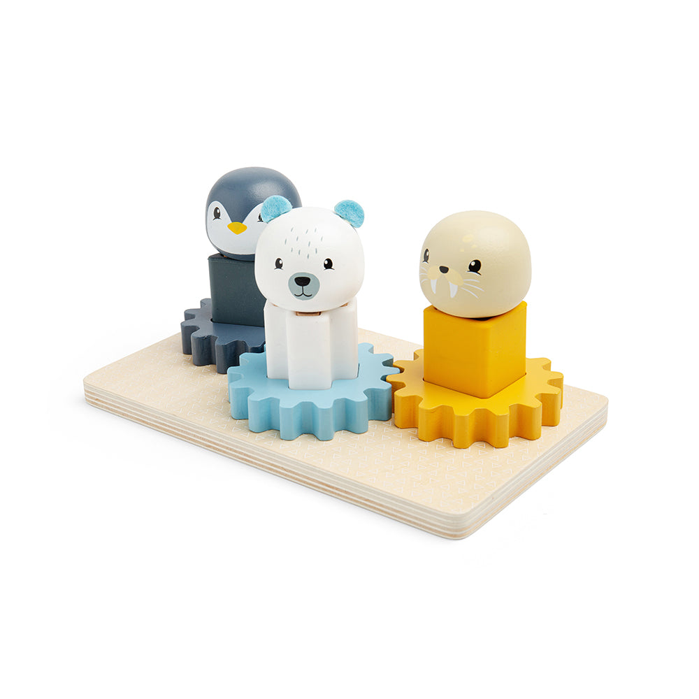 fsc-arctic-cog-board-36003-3