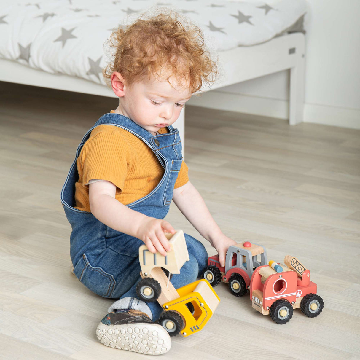Mini Tipper Truck