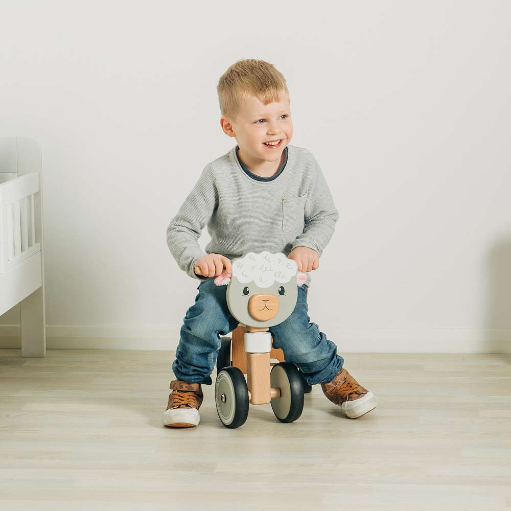 Ride On Sheep