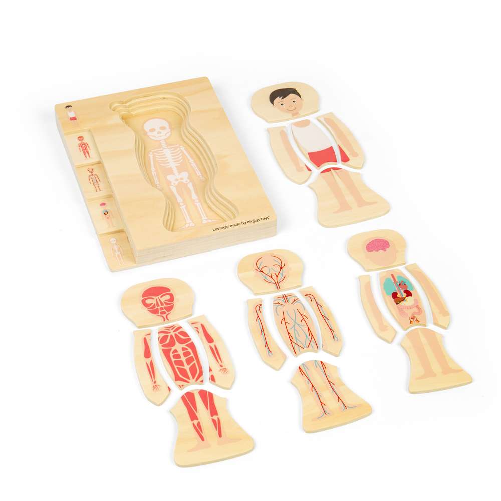 Anatomy Puzzle - Boy