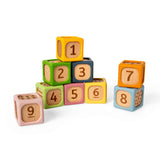 Soft Sorting Blocks - 9 Piece Wooden & Silicone Baby Block Set