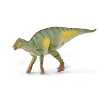Kamuysaurus