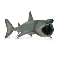 Basking Shark