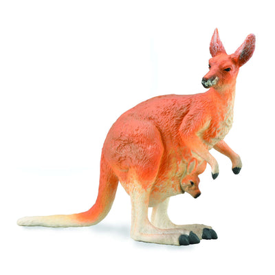 Red Kangaroo - Female with Joey