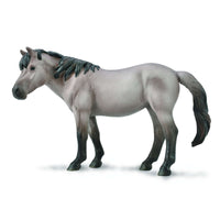 Konik Mare  Blue Dun