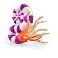 Pravitoceras