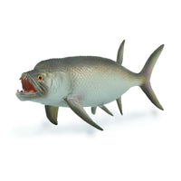 Xiphactinus - 1:40 Scale