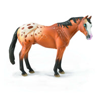 Appaloosa Stallion Light Brown