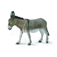Donkey