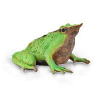 Darwin's Frog