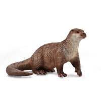 Common Otter