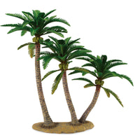 Coconut Palm
