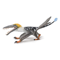 Dearc sgiathanach with Moveable Jaw (1:3 Scale)