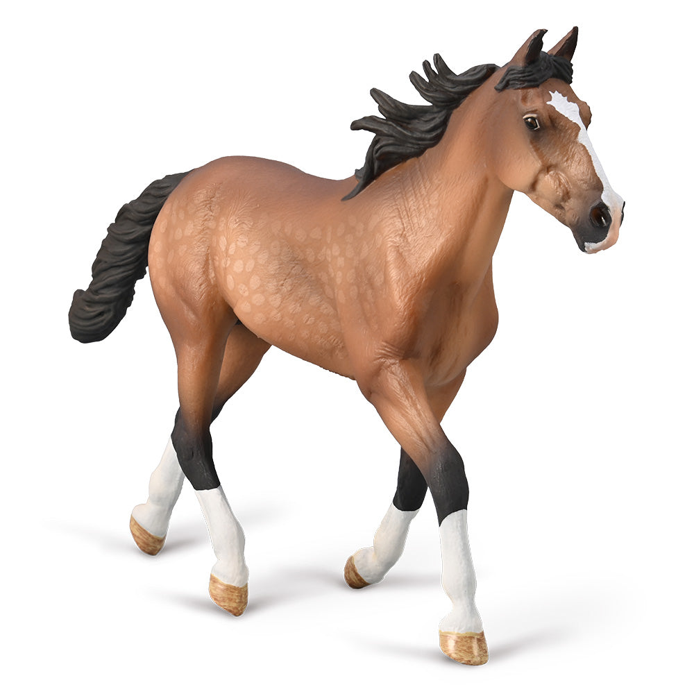 collecta-Standardbred-Pacer-Stallion-Bay-9580004-1