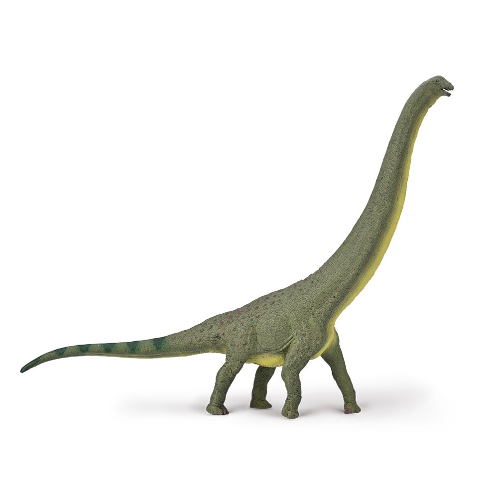 collecta-dreadnoughtus-Deluxe-9580005-1