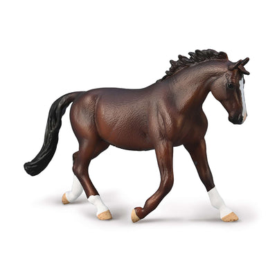 Oldenburg Mare (Bay)