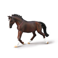 Oldenburg Mare (Bay)