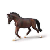Oldenburg Mare (Bay)