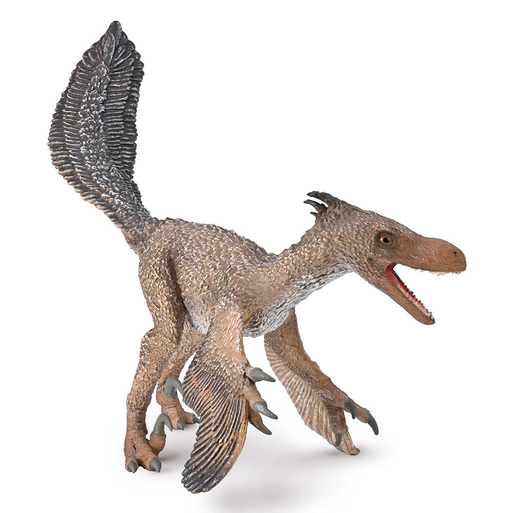 Velociraptor with Movable Jaw 1:6 Scale CollectA Dinosaur Toys