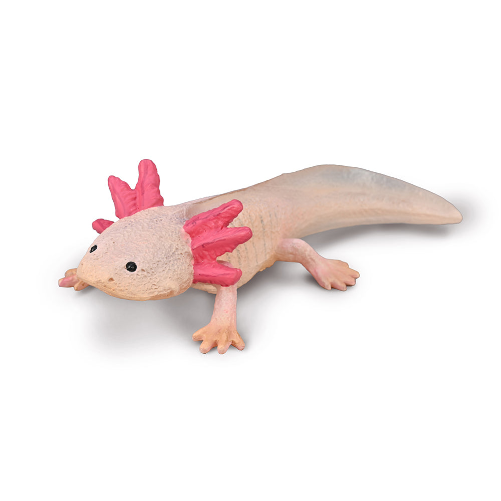 collecta-Axolotl-9580015-1