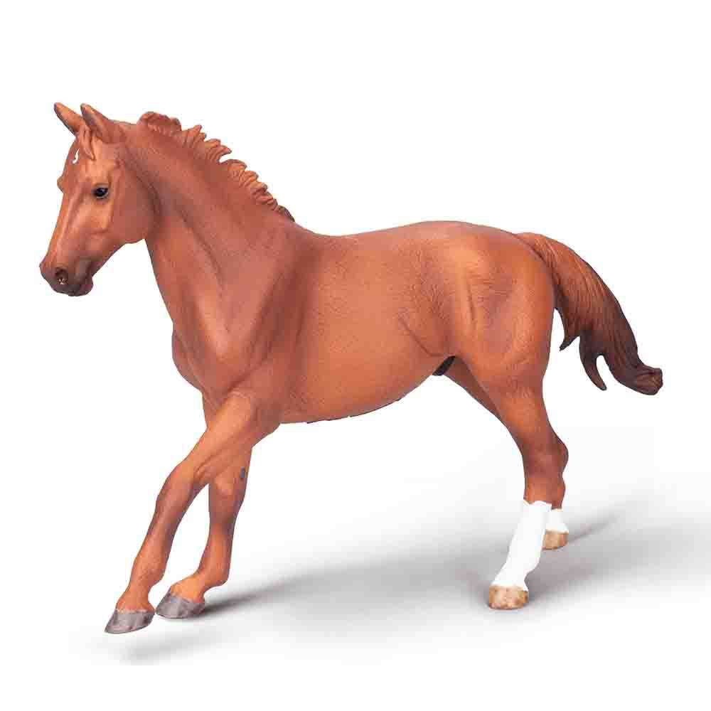 Phar Lap, Thoroughbred Stallion Chestnut