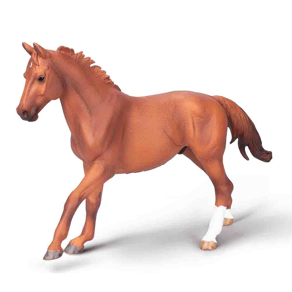 Phar Lap, Thoroughbred Stallion Chestnut