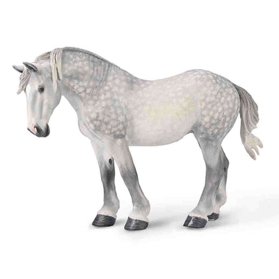 Percheron Mare –  Dappled Grey