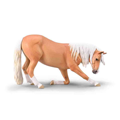 Bowing Lusitano mare Palomino