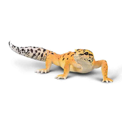 Leopard Gecko