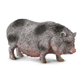 Pot-bellied Pig