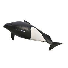 CollectA Dall's Porpoise- Toy Marine Animal Figure, Realistic Ocean Mammal Model