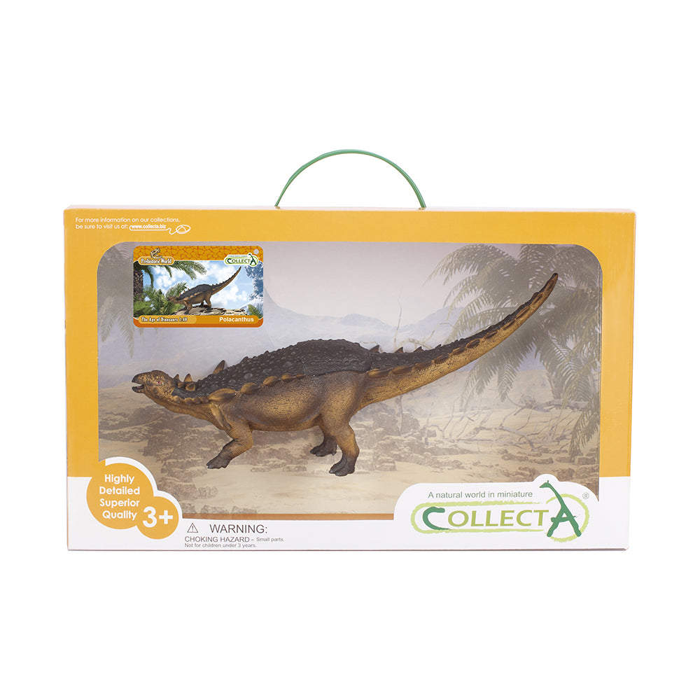 collecta-polacanthus-deluxe-window-box-9584241-1