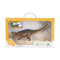 Polacanthus - Deluxe Window Box