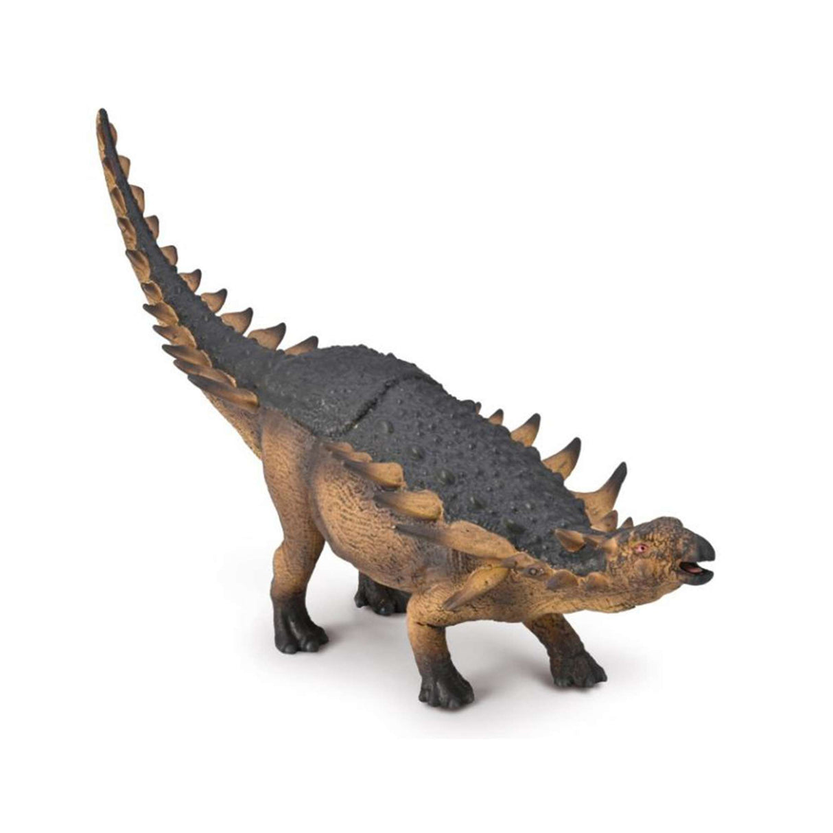 Polacanthus - Deluxe Window Box