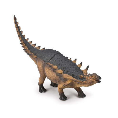 Polacanthus - Deluxe Window Box