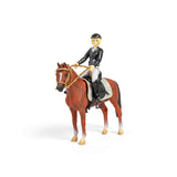 Lady Tournament Rider & Accessories Window Box