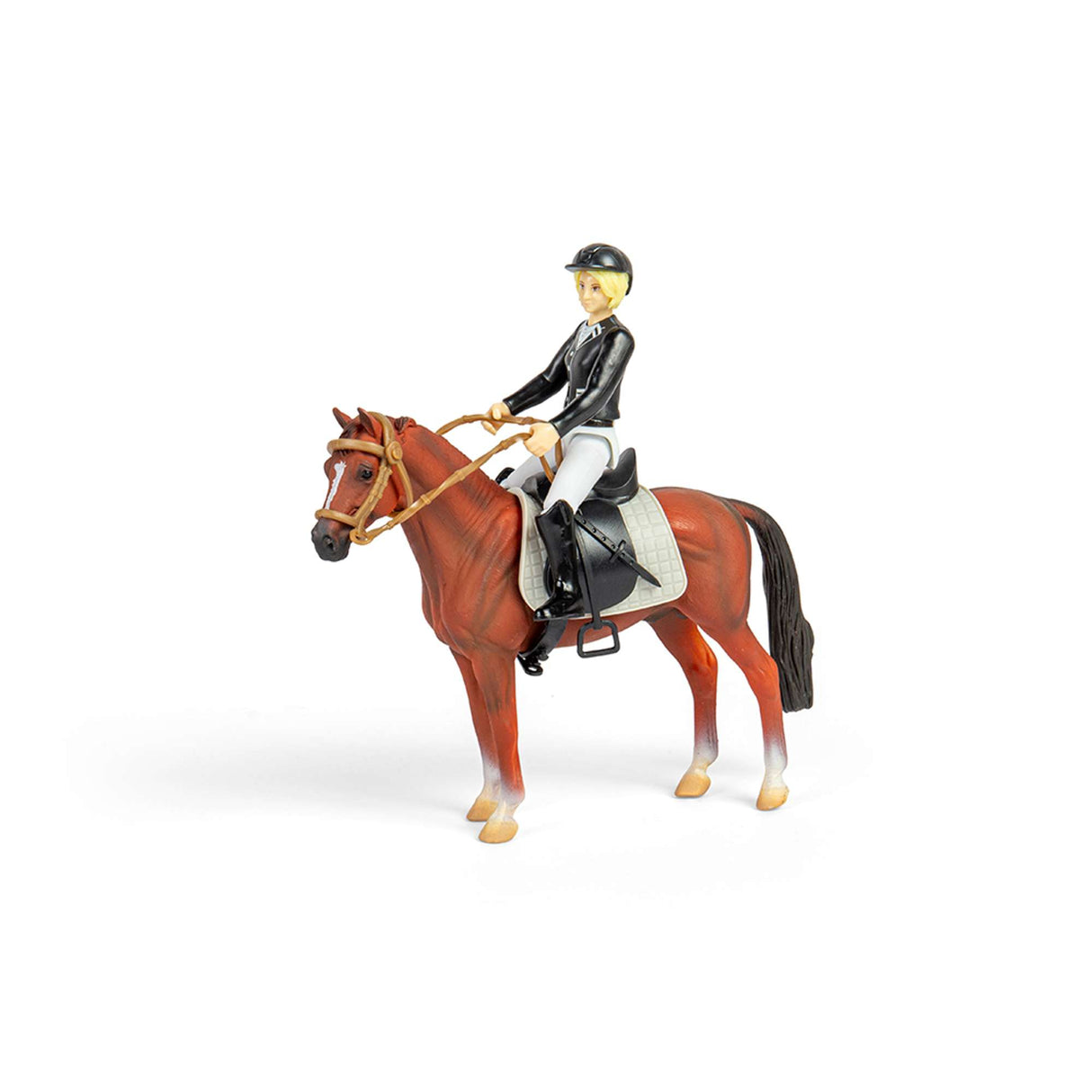 Lady Tournament Rider & Accessories Window Box