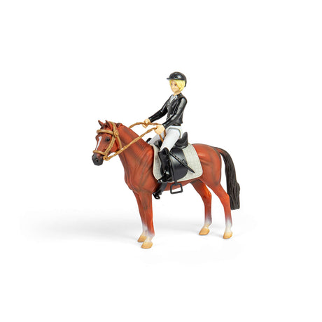 Lady Tournament Rider & Accessories Window Box