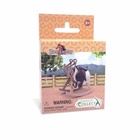 Riding Accessories Starter Box Set