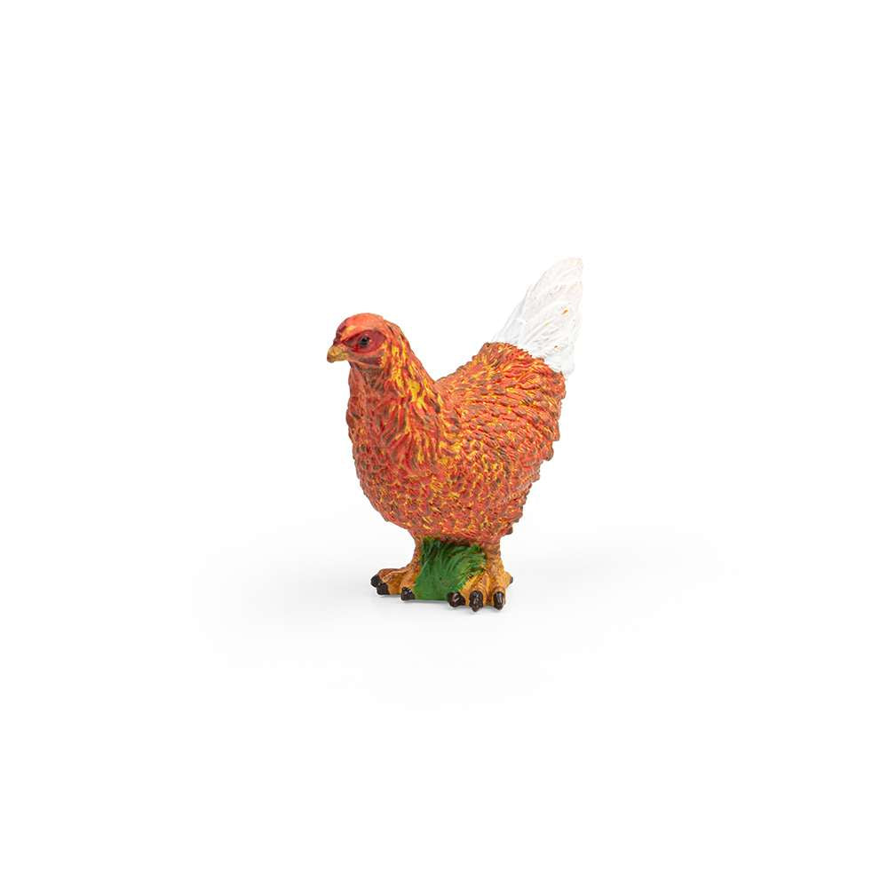 Hen