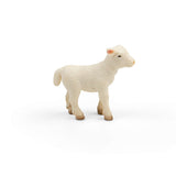 Lamb