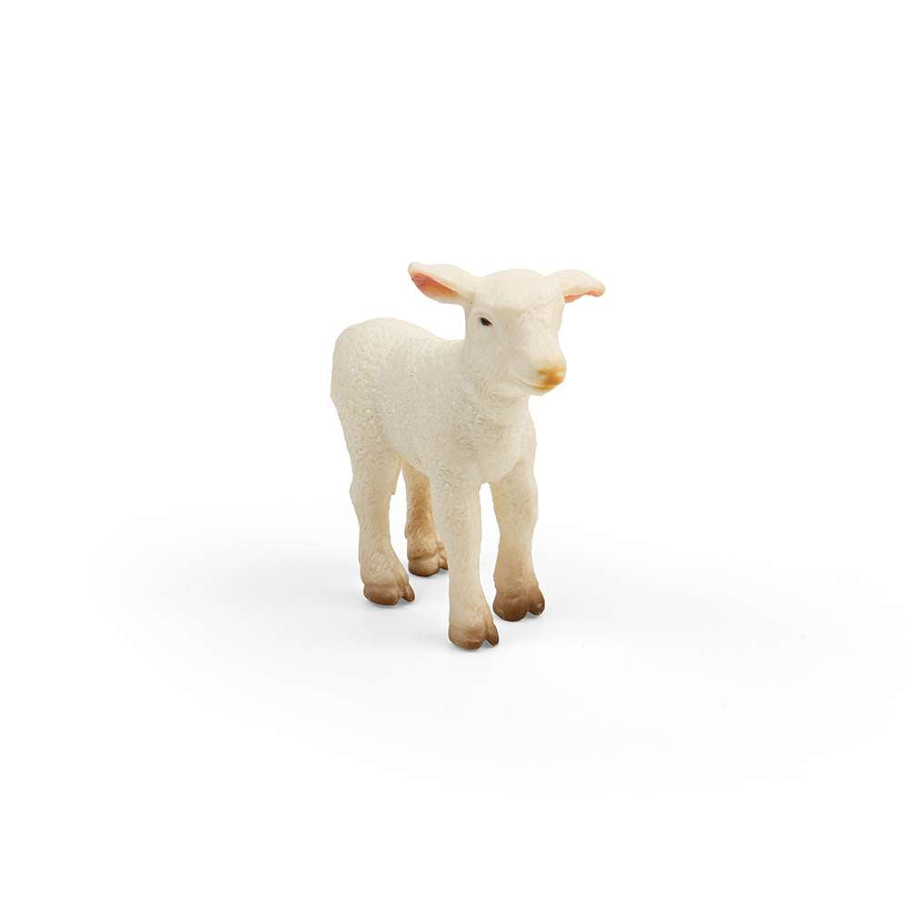 Lamb