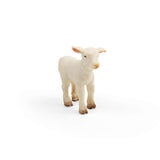 Lamb
