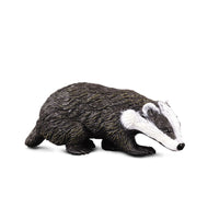 Eurasian Badger