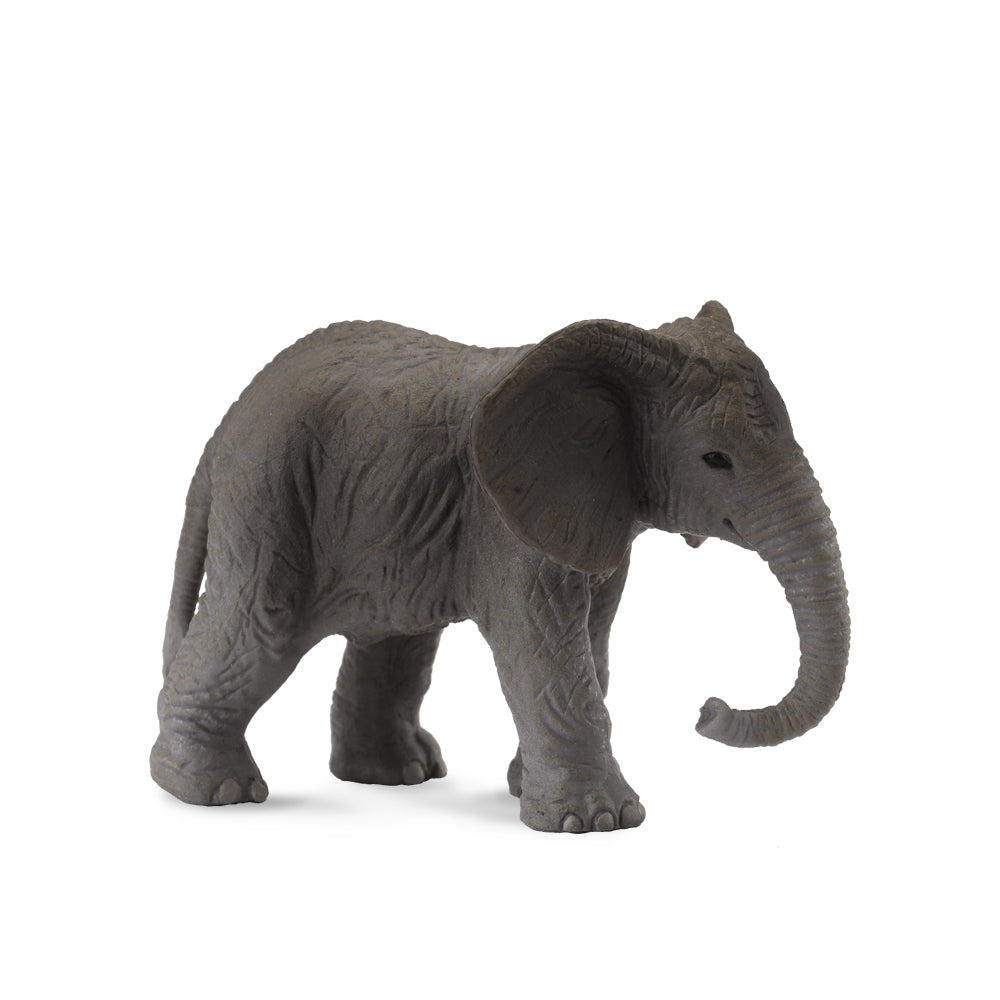 African Elephant Calf