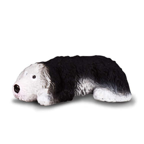 Old English Sheepdog Puppy