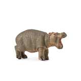 Hippopotamus Calf