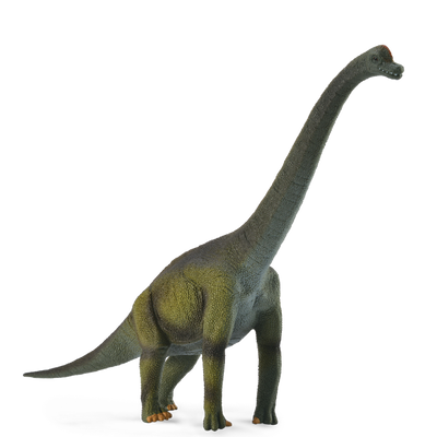 Brachiosaurus