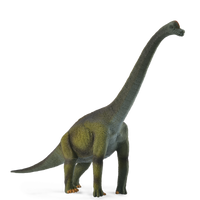 Brachiosaurus